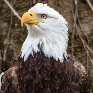 Meet your Posher, Michele